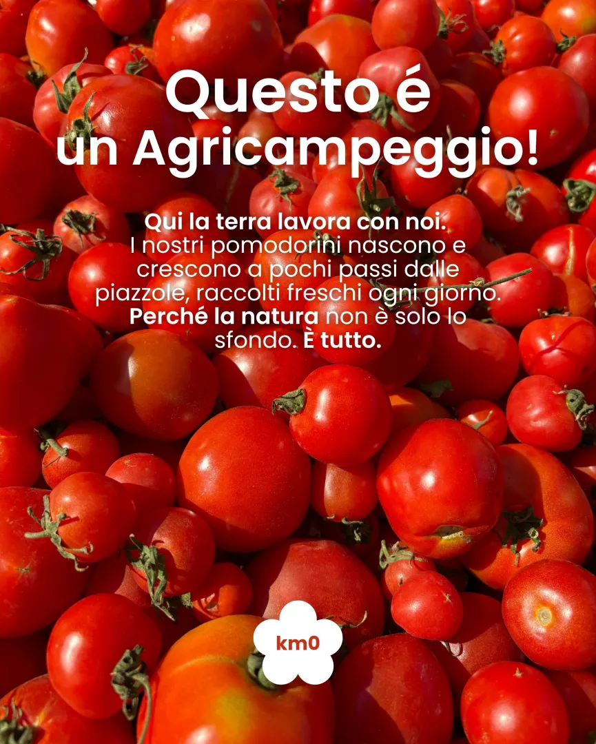 Contenuto Instagram MediaLab per Agricampeggio Mosè — post 12