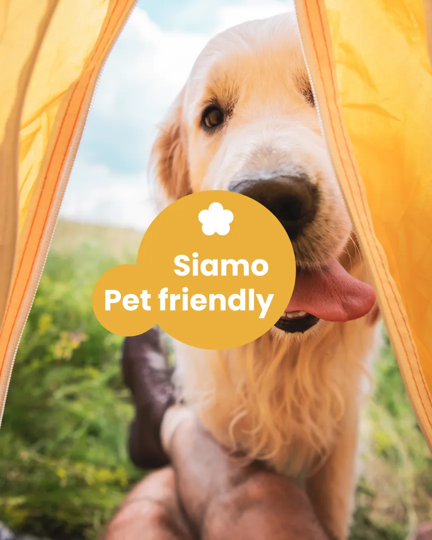 Contenuto Instagram MediaLab per Agricampeggio Mosè — post 3